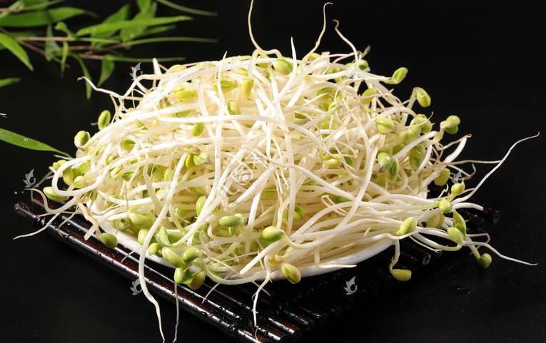無公害綠色豆芽，怎么生產(chǎn)出來的？全套生產(chǎn)過程如此方便智能